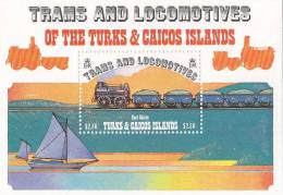 Turks Y Caicos HB 43 - Turks & Caicos (I. Turques Et Caïques)