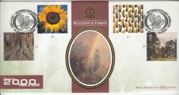 Benham FDC 2000 Millennium, Tree & Leaf, Plant, Sunflower, Flower,  Great Britain - 1991-2000 Decimal Issues