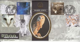 Benham FDC 2000 Millennium, Above & Beyond, Barn Owl, Bird, Seabird, National Space,  Great Britain - 1991-2000 Decimal Issues