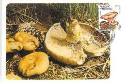 ANDORRE ESPAGNOL CARTE MAXIMUM NUM.YVERT 160 CHAMPIGNON - Other & Unclassified