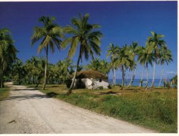 (234M France - Nouvelle Calédonie - Loyuaté Islands - New Caledonia