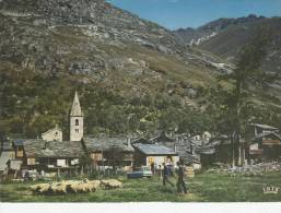 BONNEVAL SUR ARC 73 Le Troupeau Conduit Par Les Bergers Passe à Proximité Du Village De La Haute Maurienne - Bonneval Sur Arc