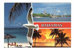 E2627 Bahamas - Uccelli Oiseux Birds - Barche Boats Bateaux Yacht / Non Viaggiata - Bahamas
