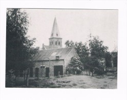 Beernem  Toren St. Amandus Kerk - Beernem