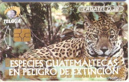 TARJETA DE GUATEMALA DE UN JAGUAR - Guatemala