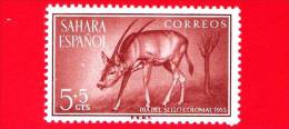 SAHARA SPAGNOLO - NUOVO - 1955 - Giornata Del Francobollo - Antilope - Scimitar-horned Oryx - 5+5 - Spanish Sahara