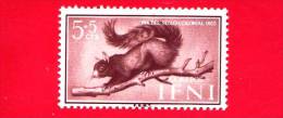 SPAGNA - Colonie - IFNI - NUOVO - 1955 - Giornata Del Francobollo - Scoiattolo - Squirrel (Sciurus Pauli) - 5+5 - Ifni