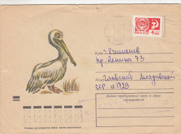 BIRDS, PELICAN COVER STATIONERY, ENTIER POSTAL, 1974, ROMANIA - Pelikane