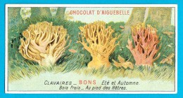 PUB. CHROMO  CHOCOLAT AIGUEBELLE, CHAMPIGNON, CLAVAIRES,   SCAN RECTO/VERSO - Aiguebelle