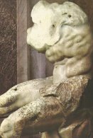 Vatican Museum  -  Torso Of  Belvedere   # 01587 - Skulpturen