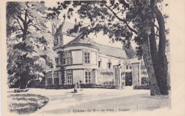 Château De Mme. De Stâel - Coppet. - Coppet