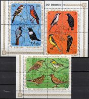 Singvögel WWF 1970 Burundi 621/632 Als 3xER-Block O 10€ Stelze Schwalbe Star Alauda M/s Fauna Bloc Bird Sheets Bf Africa - Gebruikt