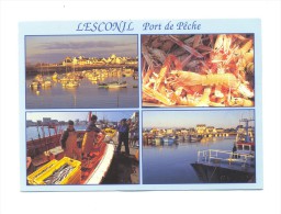 France, Bretagne, Finistère (29), Lesconil, Port De Pêche - Lesconil