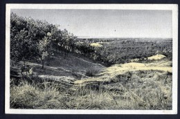 Holland - Terschelling - Bos En Duin - V. K. & Zn. L. - Terschelling