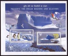 INDIA 2009, IPY International Polar Year - Preserve The Polar Regions And Glaciers Block** - Préservation Des Régions Polaires & Glaciers