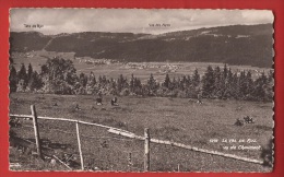 Z0249 Val De Ruz Vue De Chaumont, Enfants Dans Les Alpages. Bazar De Chaumont, Famille Bernard.Non Circulé - Val-de-Ruz