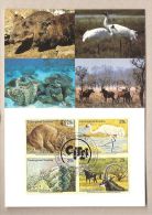 ONU N.Y. - Cartolina Maximum - Specie In Via Di Estinzione - 1998 *G - Cartoline Maximum