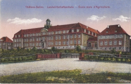 CHATEAU-SALINS  LANDWIRTSCHAFTSSCHULE-ECOLE REALE D'AGRICULTURE - Chateau Salins