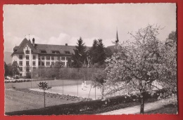 Z0269 Estavayer-le-lac,  Court De Tennis De L' Institut Du Sacré-Coeur Et Vergers En Fleurs. Non Circulé. - Estavayer