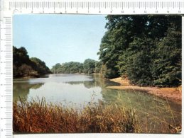 BLENEAU - Etang Du Château - Bleneau