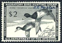 US RW21 Used Duck Stamp From 1954 - Duck Stamps