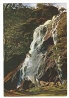 Ireland Eire - Powerscourt Waterfall - Enniskerry - Wicklow - Wicklow