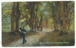 Savernake Forest (Homeward Bound) - Other & Unclassified