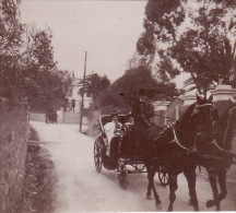 Photo Originale 1905 CANNES - Une Route (A13, Ww1, Wk1) - Cannes