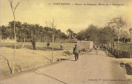CARTAGENA-HUERTO DE PALMEROS-BARRIO DE LA CONCEPCION - Murcia