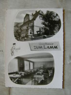 Deutschland -  Gasthaus Zum LAMM - Editor Advertising  Model Card  To Idetify  - Pinholes  D108190 - Restaurantes