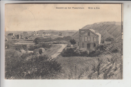 NL - NOORD-HOLLAND, WIJK Aan Zee, Gezicht Op Het Paaschduin, - Wijk Aan Zee