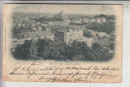 0-9250 MITTWEIDA, Gruss Aus...., 1901, Kl. Druckstelle - Mittweida