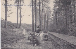 BRUXELLES SCHAERBEEK LA VALLÉE JOSAPHAT - Straßenhandel Und Kleingewerbe