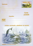 WHALE, PC STATIONERY, ENTIER POSTAL, 2003, ROMANIA - Baleines