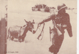 CPA GELA- IN WORLD WAR II, SOLDIER WITH DONKEY - Gela