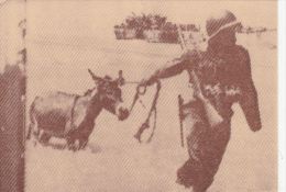 CPA GELA- IN WORLD WAR II, SOLDIER WITH DONKEY - Gela