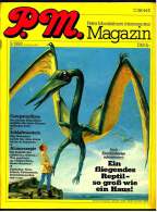 P. M. Magazin Nr. 3 / 1982  ,  Ein Fliegendes Reptil - So Groß Wie Ein Haus - Sonstige & Ohne Zuordnung