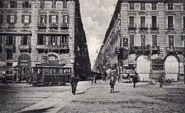 Piazza Castello E Via Garibaldi. Animata - Orte & Plätze