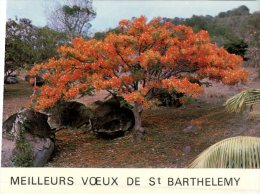 (888M) France- St Barthelemy Island - Autres & Non Classés