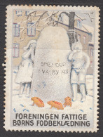 Denmark 1914 Beautifull Old Cinderella, Charity For Poor Children - Sonstige & Ohne Zuordnung