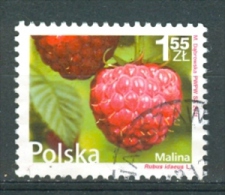 Poland, Yvert No 4261 - Used Stamps