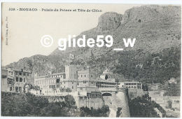 MONACO - Palais Du Prince Et Tête De Chien - N° 539 - Palacio Del Príncipe