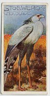 Stollwerck - Règne Animal – 18.2 (FR) – Secretarisvogel, Sagittarius, Secretarybird, Messager Sagittaire - Stollwerck