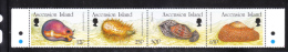 Ascension 1996 Mollusks Strip MNH - Ascension