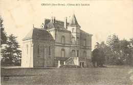 Deux-sèvres - Ref A 426 - Cerisay - Château De La Louisière - Carte Bon état - - Cerizay