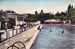 ALGERIE - SAIDA - LA PISCINE MUNICIPALE J.VIDAL. - Saïda