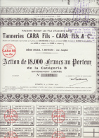 ACTION TANNERIE  CARA   COMPLETE AVEC COUPONS  CUIR - Textile