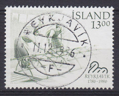 Iceland 1986 Mi. 656      13.00 Stadt Reykjavik Wäscherinnen An Der Laugenquelle Deluxe REYKJAVIK Cancel !! - Gebraucht