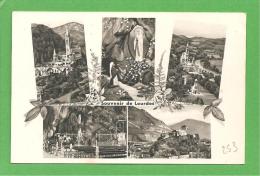 65 HAUTES PYRENEES Lot 253 LOURDES - Lourdes