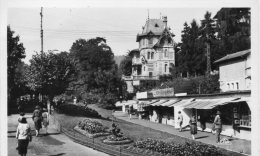 CPSM 63 CHATELGUYON LE PARC DU CASINO - Châtel-Guyon